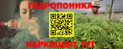 a pvp Обь
