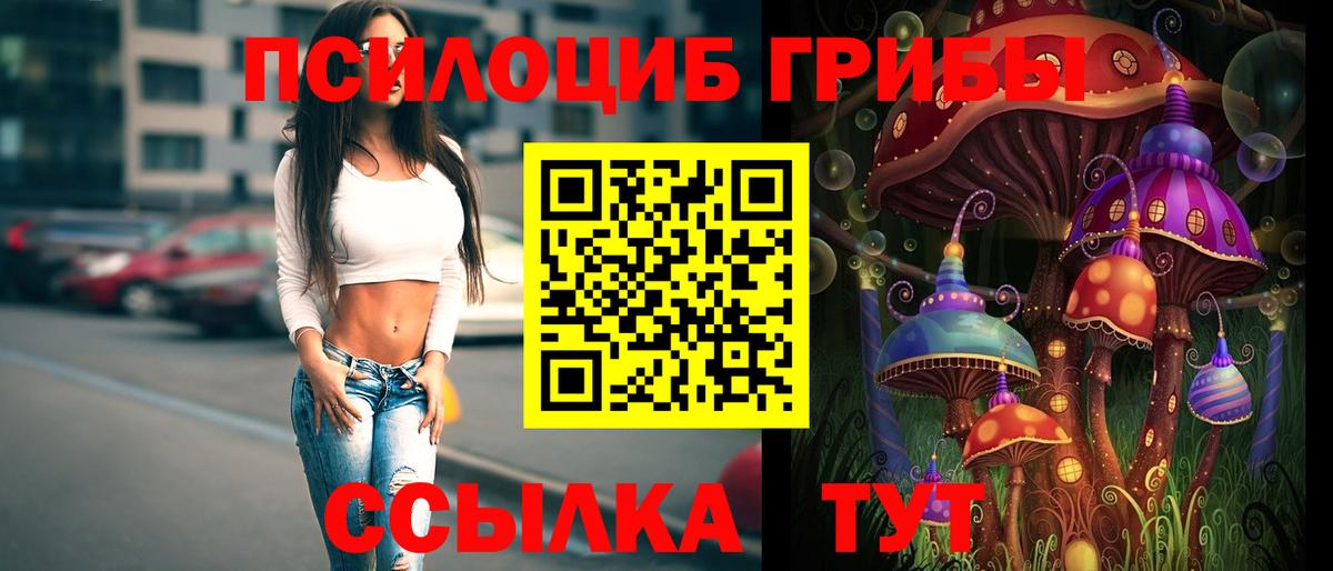 Псилоцибиновые грибы мухоморы Петрозаводск